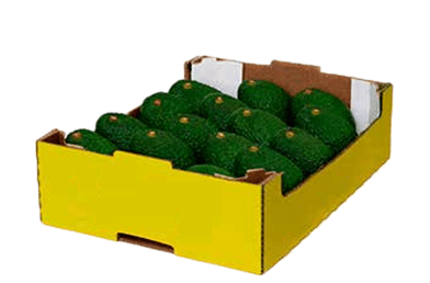 Carton box per 4 kg